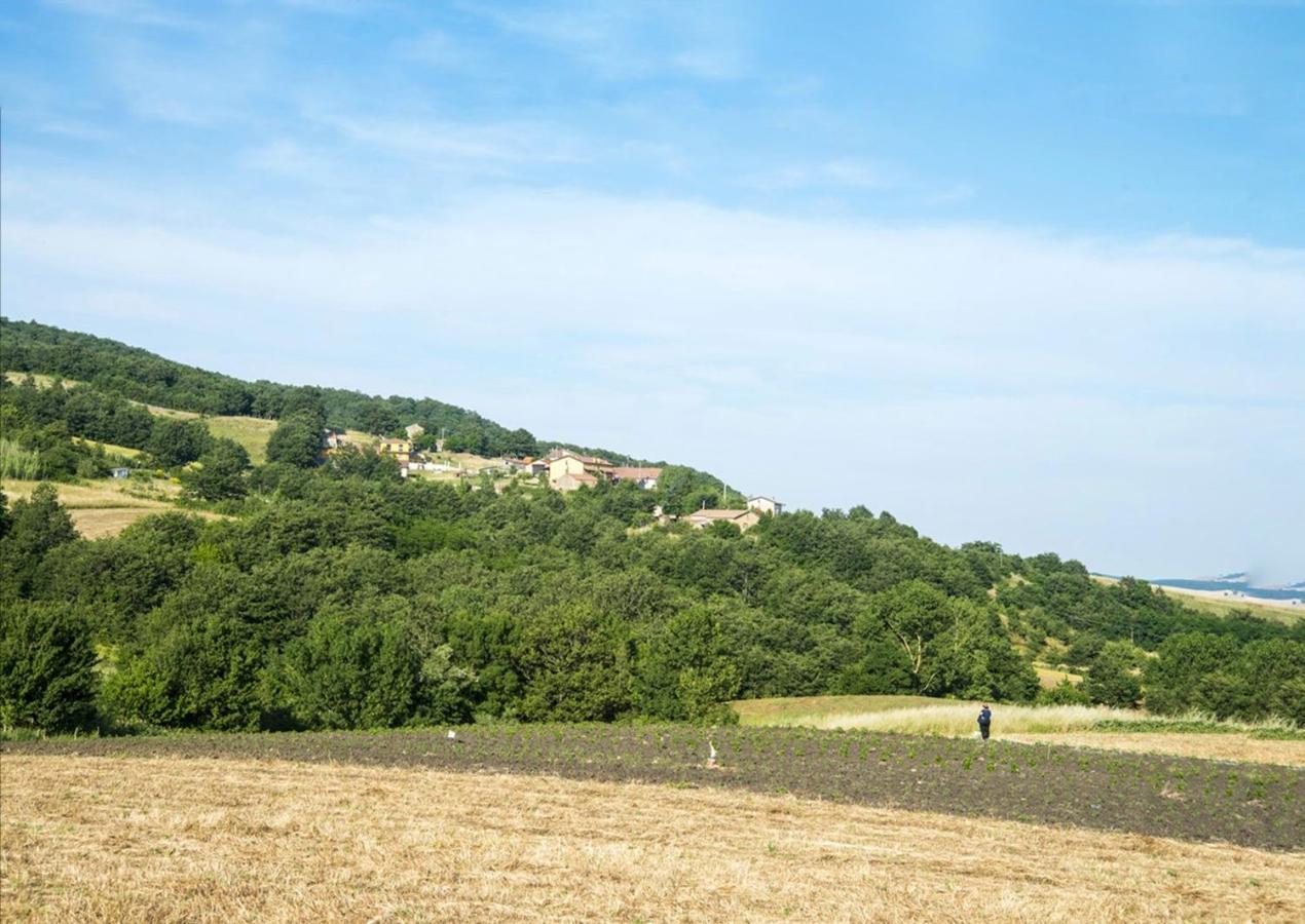 Filiano Le Pitture Casa Di Campagna מראה חיצוני תמונה